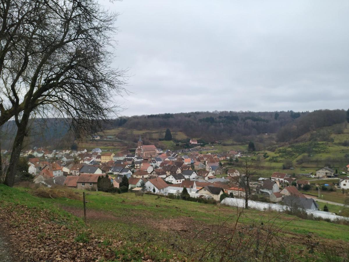 Gîte De La Vallée Soucht Extérieur photo