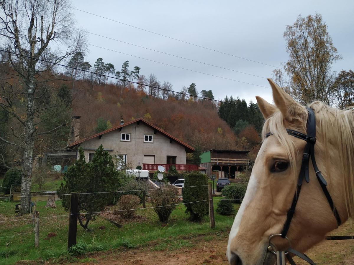 Gîte De La Vallée Soucht Extérieur photo