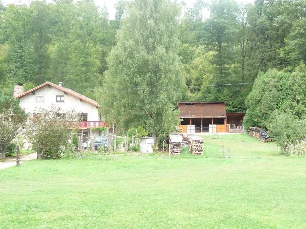 Gîte De La Vallée Soucht Chambre photo