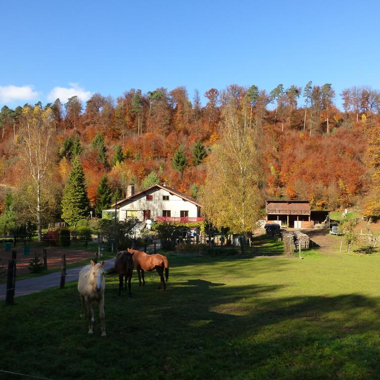 Gîte De La Vallée Soucht Chambre photo