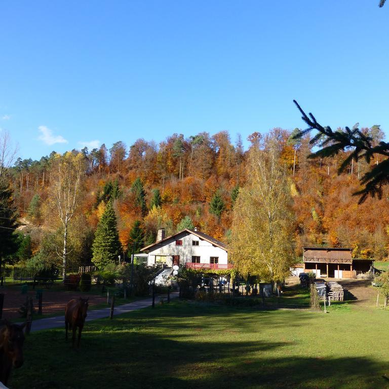 Gîte De La Vallée Soucht Chambre photo