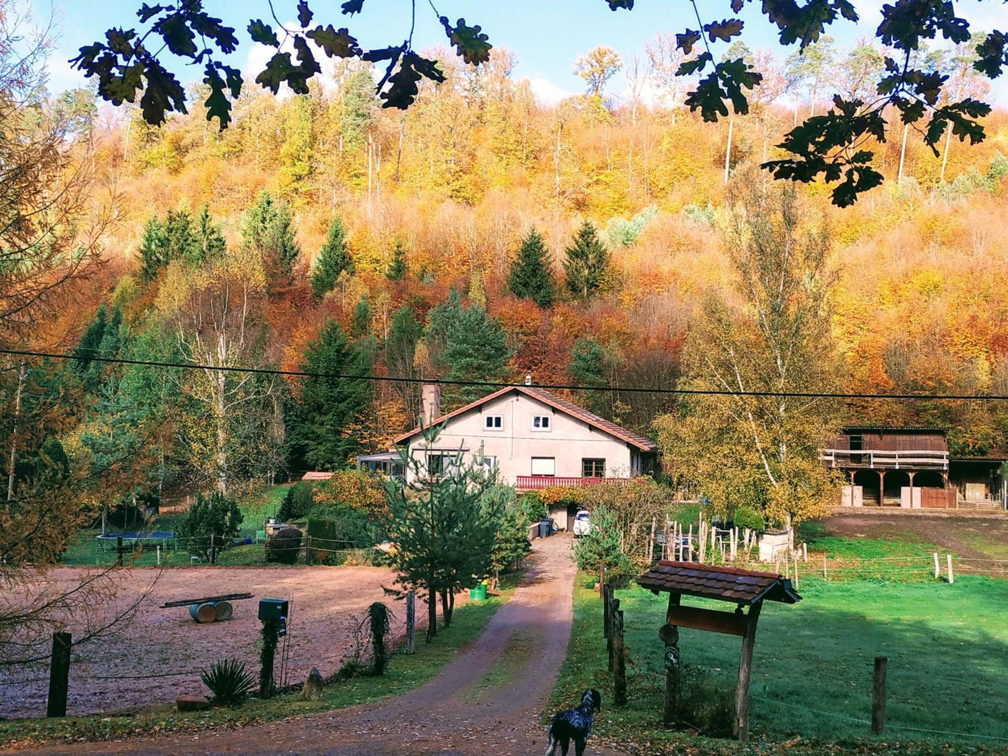 Gîte De La Vallée Soucht Extérieur photo