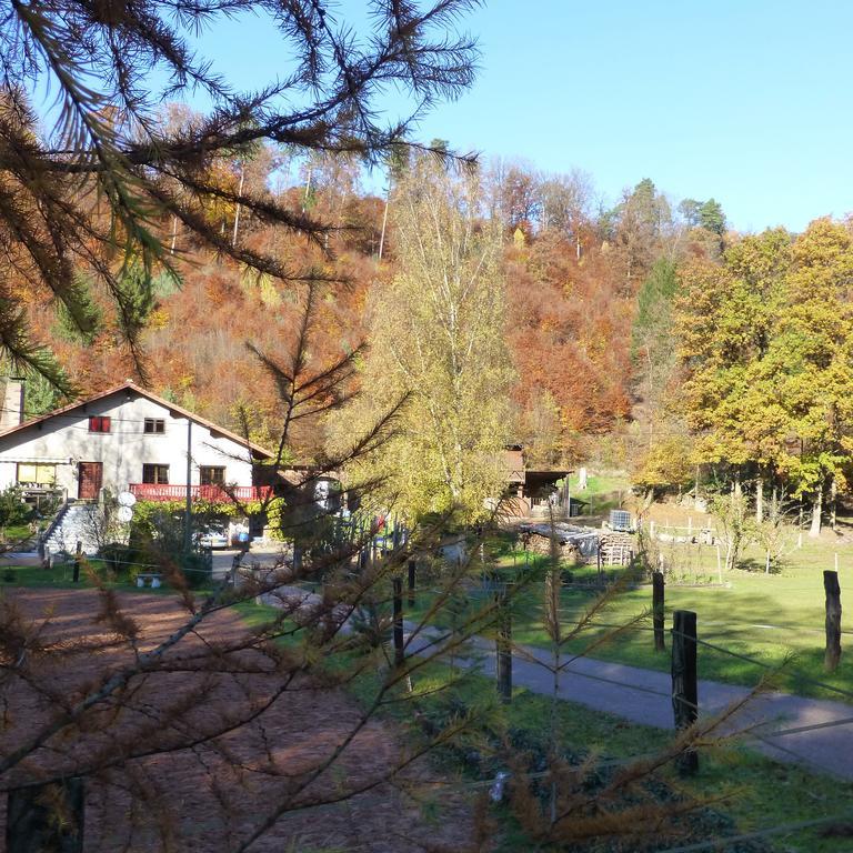 Gîte De La Vallée Soucht Chambre photo