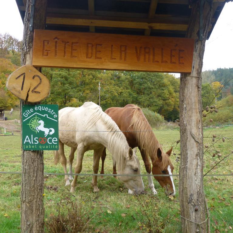 Gîte De La Vallée Soucht Extérieur photo