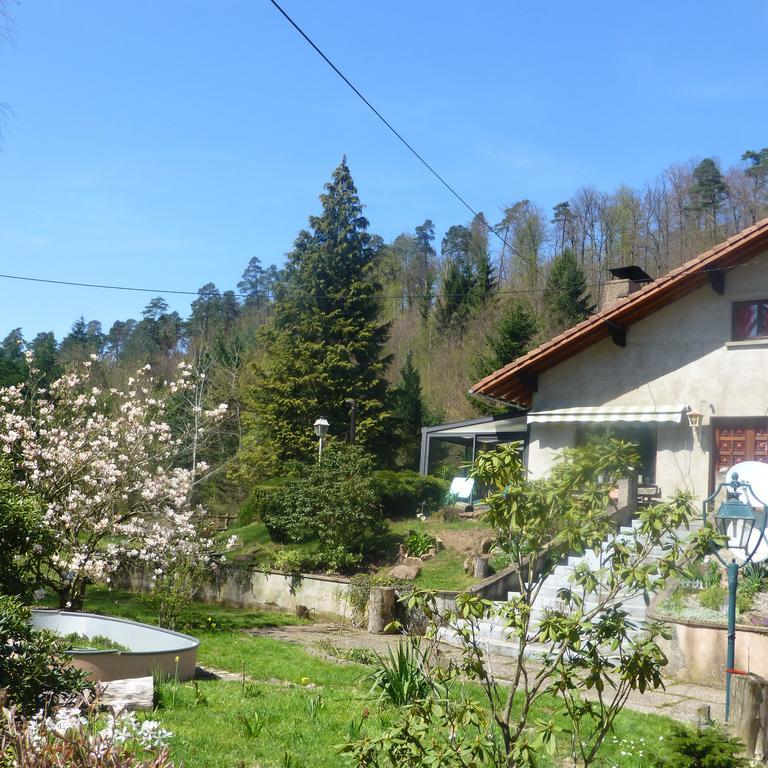 Gîte De La Vallée Soucht Extérieur photo