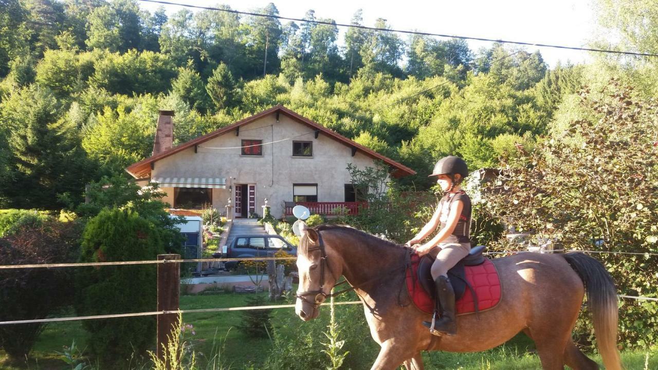 Gîte De La Vallée Soucht Extérieur photo