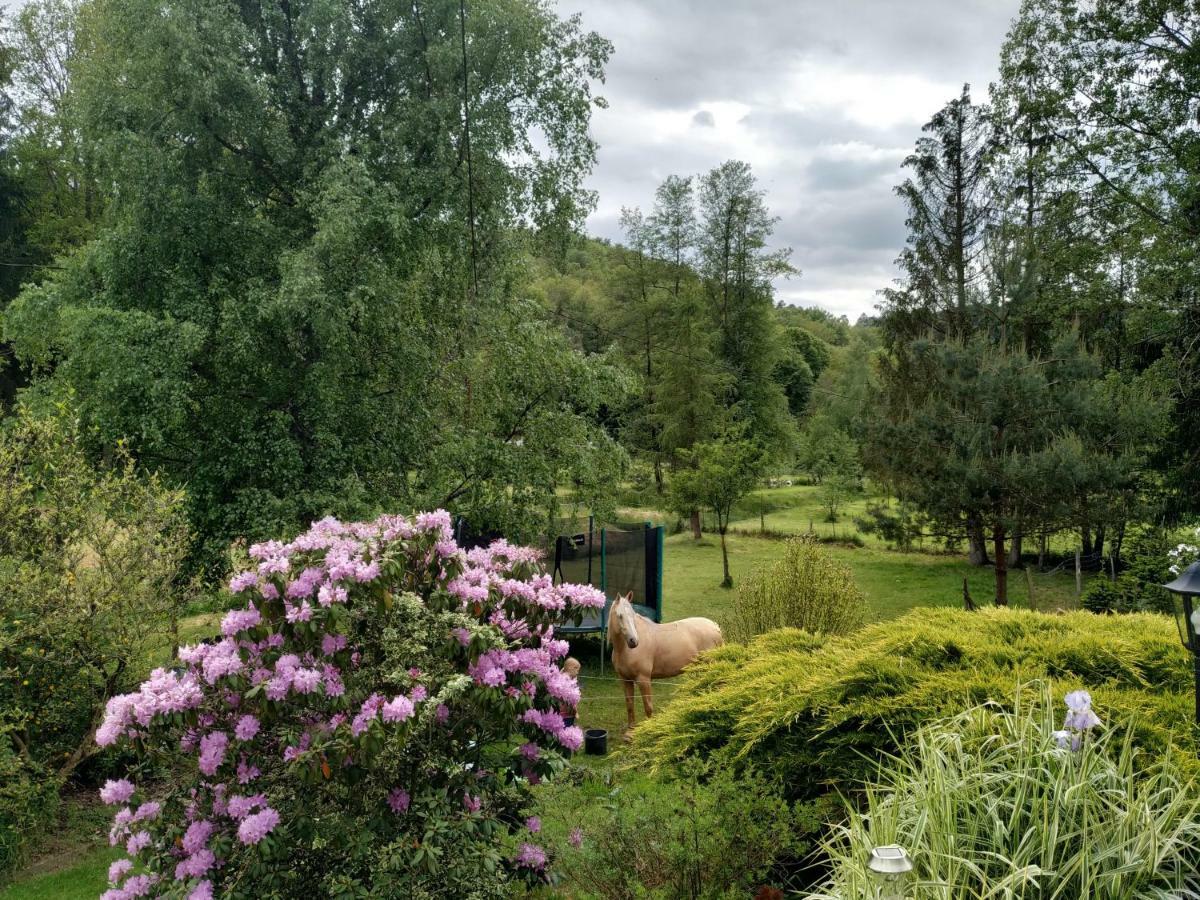 Gîte De La Vallée Soucht Extérieur photo