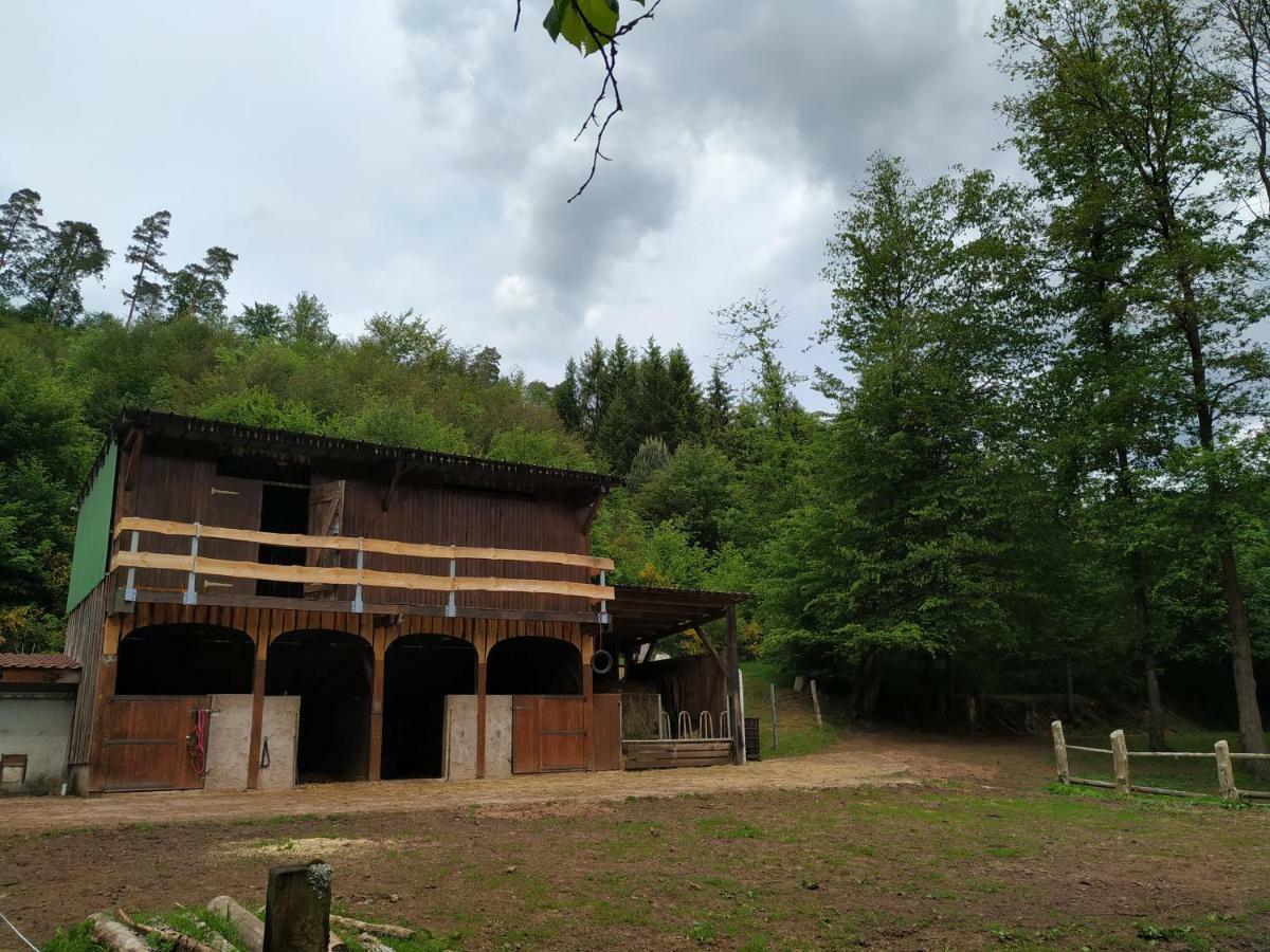 Gîte De La Vallée Soucht Extérieur photo